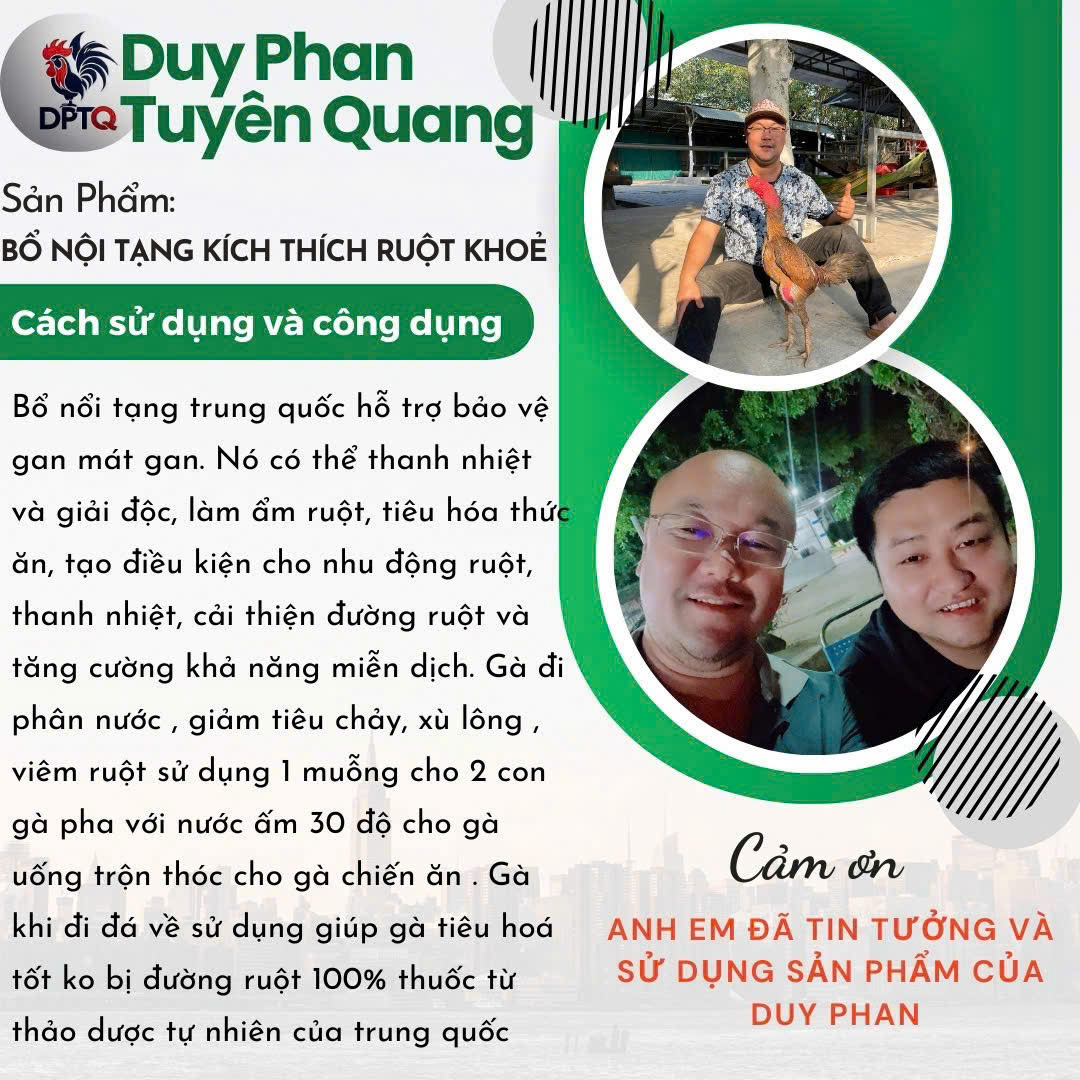 Bổ nội tạng Duy Phan